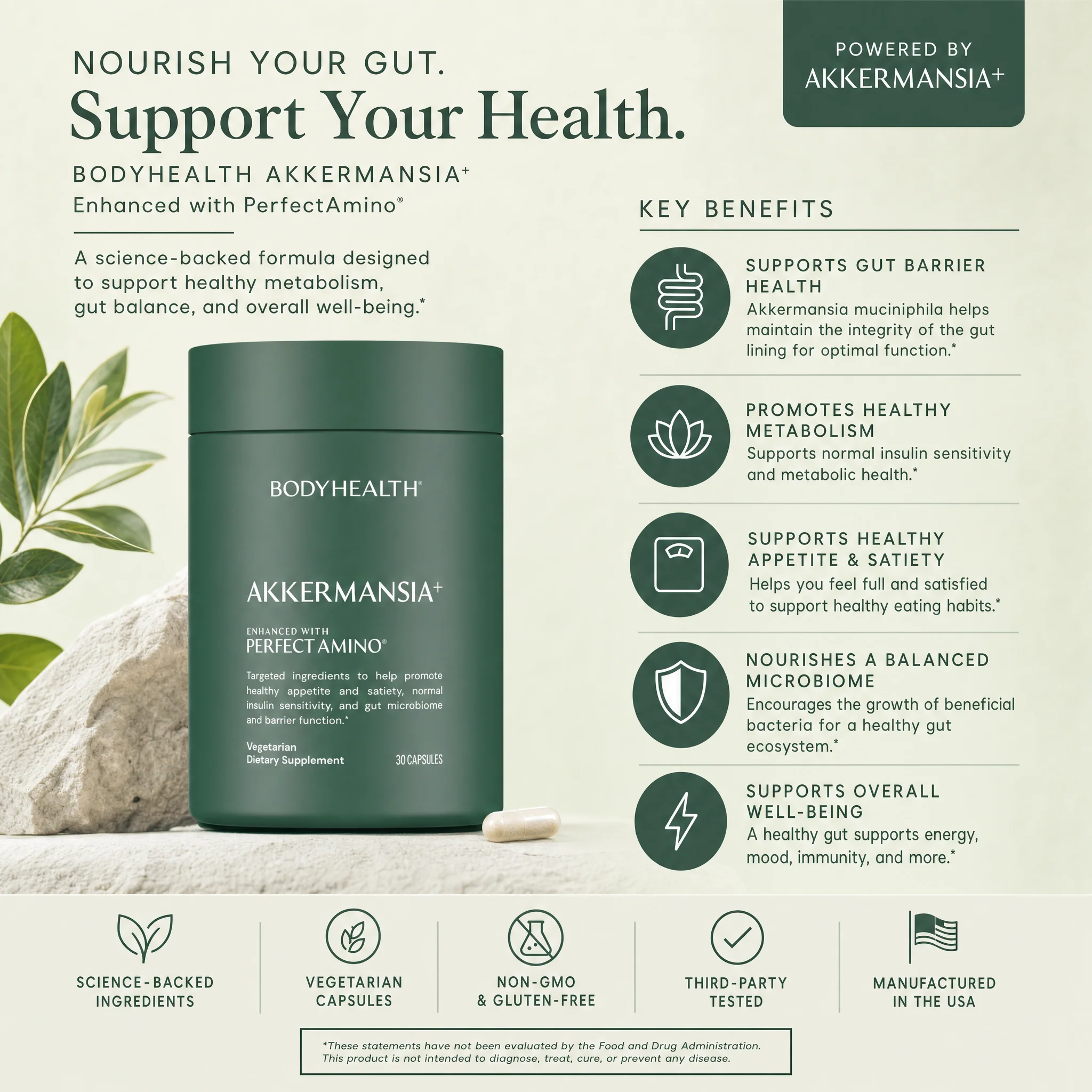 Akkermansia+ Probiotic Supplement - Image 4