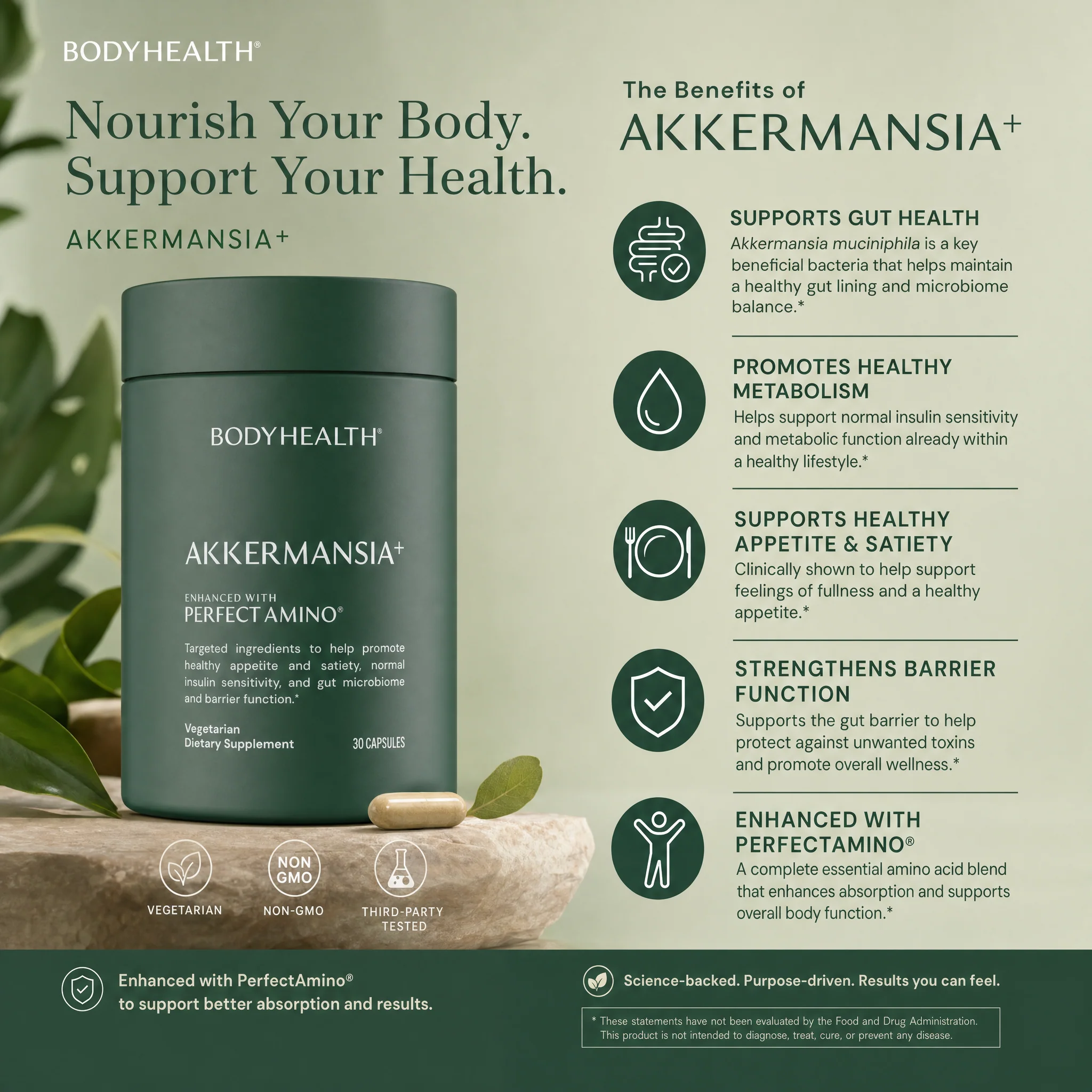 Akkermansia+ Probiotic Supplement - Image 5