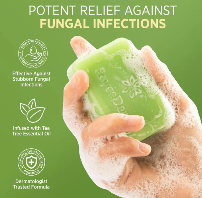 Tea Tree Soap - Image 3